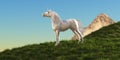 Unicorn Stallion on Hilltop