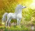 Unicorn Stallion in Meadow Royalty Free Stock Photo