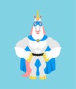 Unicorn superhero. Super Magic horse in mask and raincoat. Strong animal