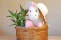 A unicorn toy and aloevera in the basket
