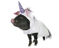 Unicorn vietnamese pig Royalty Free Stock Photo