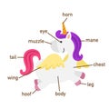 Unicorn vocabulary part of body.vector