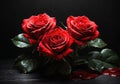 Eternal Trio: AI-Rendered Roses in Dark Embrace