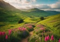 Scenic Wanderlust: Path Through Grassy and Mountainous meadows