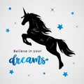 Unicorns Horse Cute Dream Fantasy Cartoon Character Vector Illustration