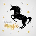 Unicorns Horse Cute Dream Fantasy Cartoon Character Vector Illustration