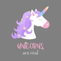 Unicorns are real vector illustration