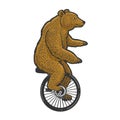 unicycle bear sketch vector illustration