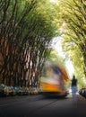 Unidentifable person running towards an out of blur tram on a tree-lined path on the street Royalty Free Stock Photo