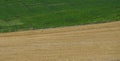 An unidentifiable man cycling up a country road