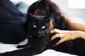 An unidentifiable woman wearing a silk nightgown lies in bed while caressing a black cat Royalty Free Stock Photo