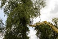 Unidentified arborist man in the air on yellow elevator, basket with controls, cutting off dead cherry tree Royalty Free Stock Photo