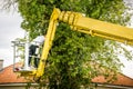 Unidentified arborist man in the air on yellow elevator, basket with controls, cutting off dead cherry tree