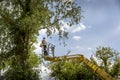 Unidentified arborist man in the air on yellow elevator, basket with controls, cutting off dead cherry tree