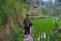 An unidentified Balinese rice farmer poses during a morning`s work near Ubud, Bali, Indonesia, 09.08.2018