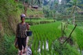 An unidentified Balinese women rice farmer poses during a morning`s work near Ubud, Bali, Indonesia, 09.08.2018