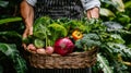 Unidentified chef gathering fresh, ripe vegetables in a lush and abundant farm field