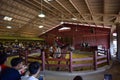 Cowboy show at Chok Chai Farm by an unidentified trained cowboy; Nakornratchasrima, Thailand