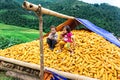 Unidentified ethnic children playing on a bundle of corns