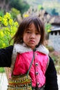 Unidentified ethnic minority kids with baskets of rapeseed flower in Hagiang, Vietnam Royalty Free Stock Photo