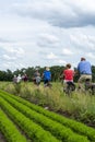 Unidentified family with seniors and children riding bicycles along carrot fields in Netherlands, traditional family outdoor