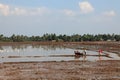 Farm workers plough the wet paddy fields