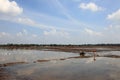 Farm workers plough the wet paddy fields