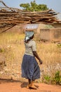 Unidentified Ghanaian woman carries wood over her head in a loc