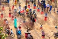 An unidentified girl wearing traditional dress ao dai buying peach blossoms in a flower market. Flower markets are held annually