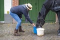 Unidentified girl in yellow hat gives food and water with bucket to the horse, Bruges, Belgium