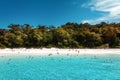 Unidentified group of tourists or traveller are swimming and snorkeling relaxation in Andaman sea at Similan-Island, Thailand Royalty Free Stock Photo