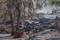 Unidentified Himba woman washing clothes at Epupa Falls  Kunene River  Namibia Royalty Free Stock Photo