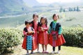 Unidentified HMong ethnic minority kids