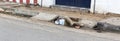 An unidentified homeless man sleeps on the road street. Poor Indians for charity.