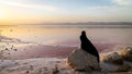 Unidentified Iranian woman in hijab burka sitting on a rock by the Maharloo pink lake, Shiraz, Iran