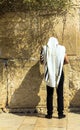 Unidentified jewish worshiper in tallith and tefillin praying at the Wailing Wall an important jewish religious site