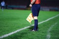 Unidentified linesman referee stands still with the flag down