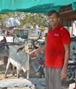 Unidentified man feeds a cow. Cow is a sacred animal in India.