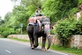 Unidentified man rides elephant along the street.