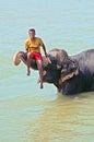 Unidentified man seats on bathing Asian Elephant