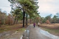 Unidentified man and woman walking across a road through the forest Royalty Free Stock Photo