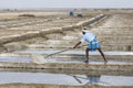 Unidentified man workers picking up, collecting the salt, in big salt fields, manual labour, organic agriculture, very hard job