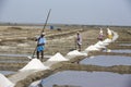 Unidentified man workers picking up, collecting the salt, in big salt fields, manual labour, organic agriculture, very hard job