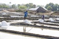 Unidentified man workers picking up, collecting the salt, in big salt fields, manual labour, organic agriculture, very hard job