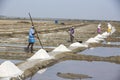 Unidentified man workers picking up, collecting the salt, in big salt fields, manual labour, organic agriculture, very hard job