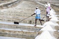 Unidentified man workers picking up, collecting the salt, in big salt fields, manual labour, organic agriculture, very hard job