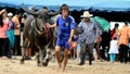 The unidentified men control their buffalo for running in a racing sport