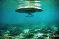 unidentified object ufo underwater covered with rust and algae