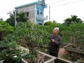 Unidentified old man pruning bonsai