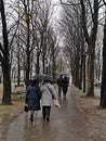 Unidentified people holding umbrellas, walk during a rainy day in Paris, France